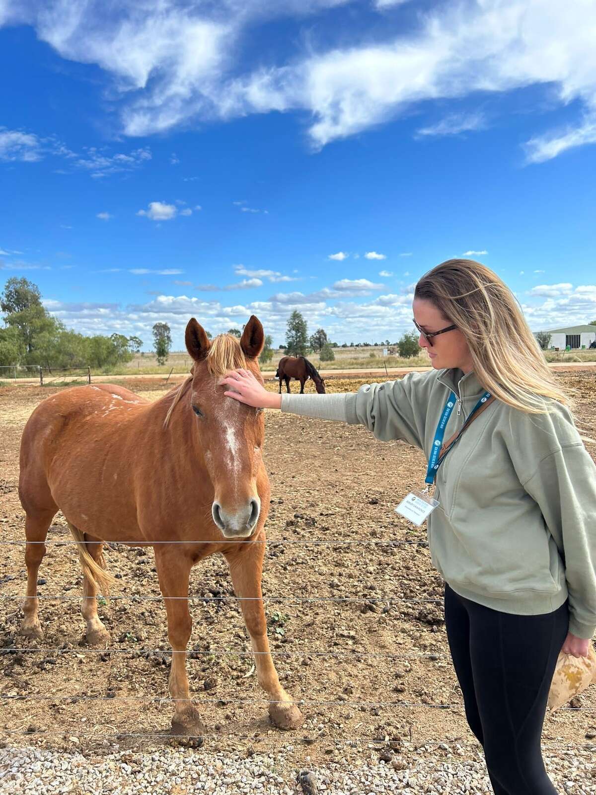 Rural insight for medical students Dairy News Australia