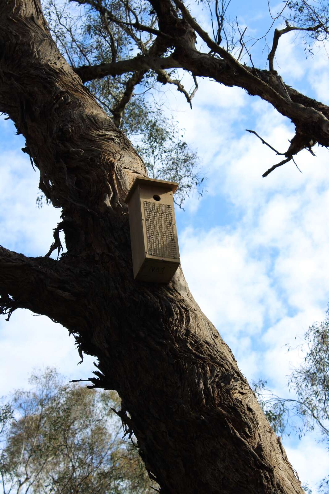 Shelters for wildlife at Inland Rail site Seymour Telegraph