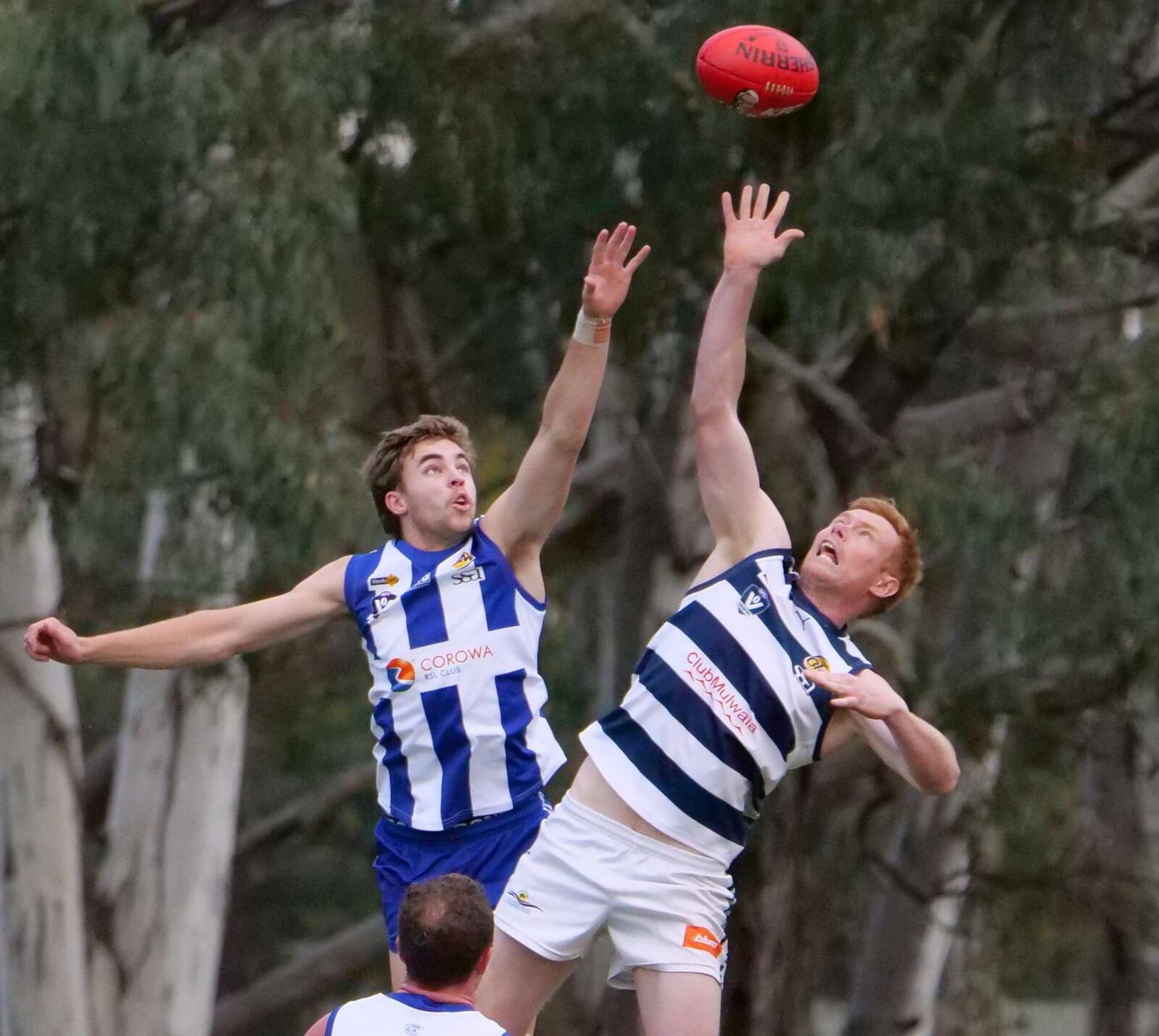 Bradtke commits future to Roos