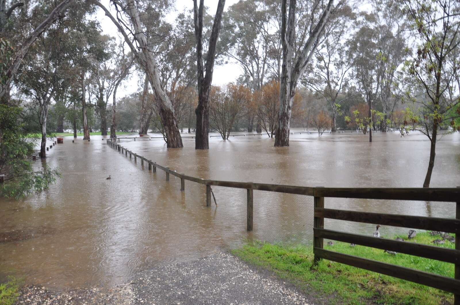Seymour floods one year on Seymour Telegraph