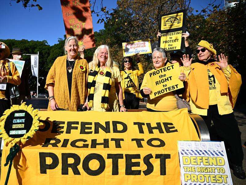 Knitting Nannas win part of protest law challenge | Cobram Courier
