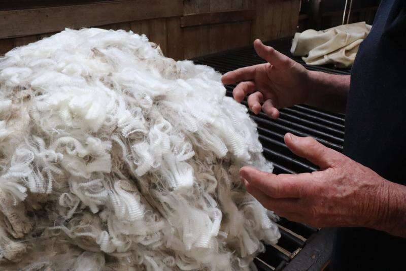 Blockchain solution to trace wool from farm to consumer | Country News