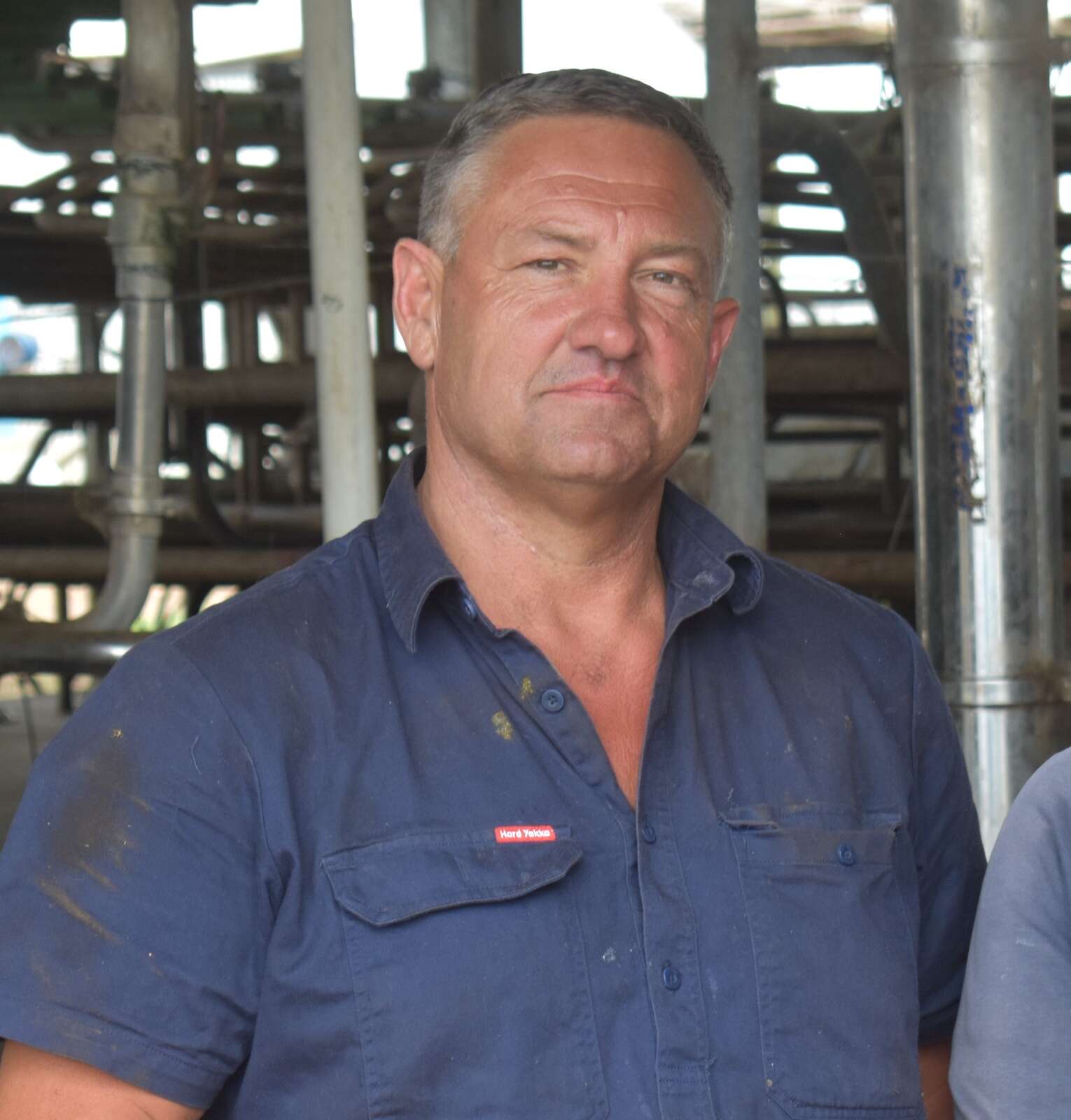 dairy-farmers-welcome-mandatory-grocery-code-country-news