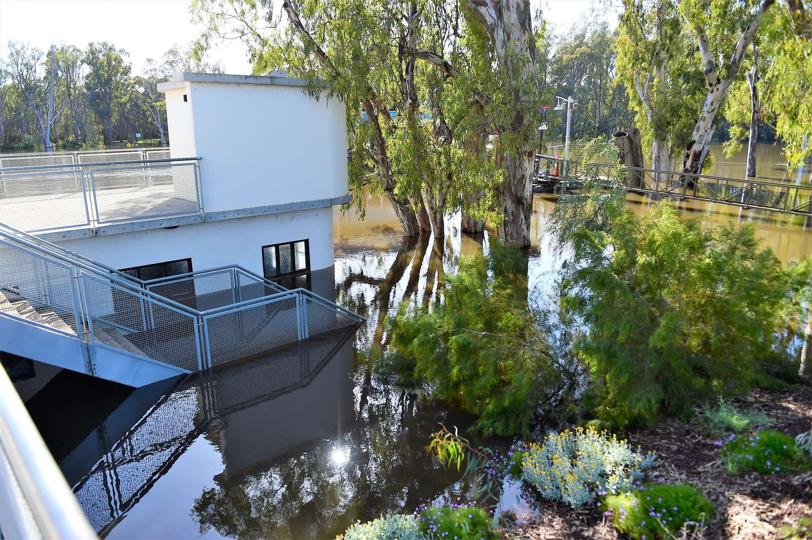 echuca-s-biggest-flood-since-1870-yarrawonga-chronicle