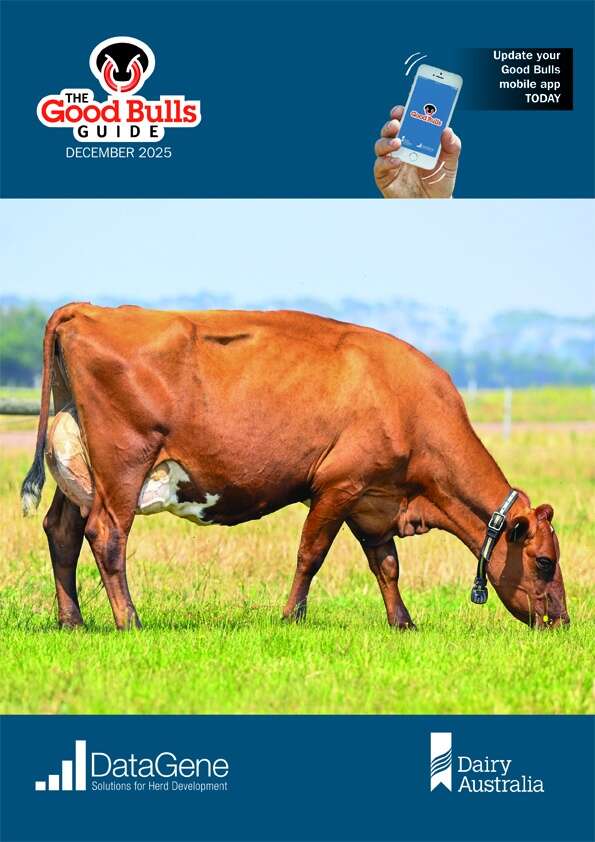 ABV updates reshape bull rankings | Dairy News Australia