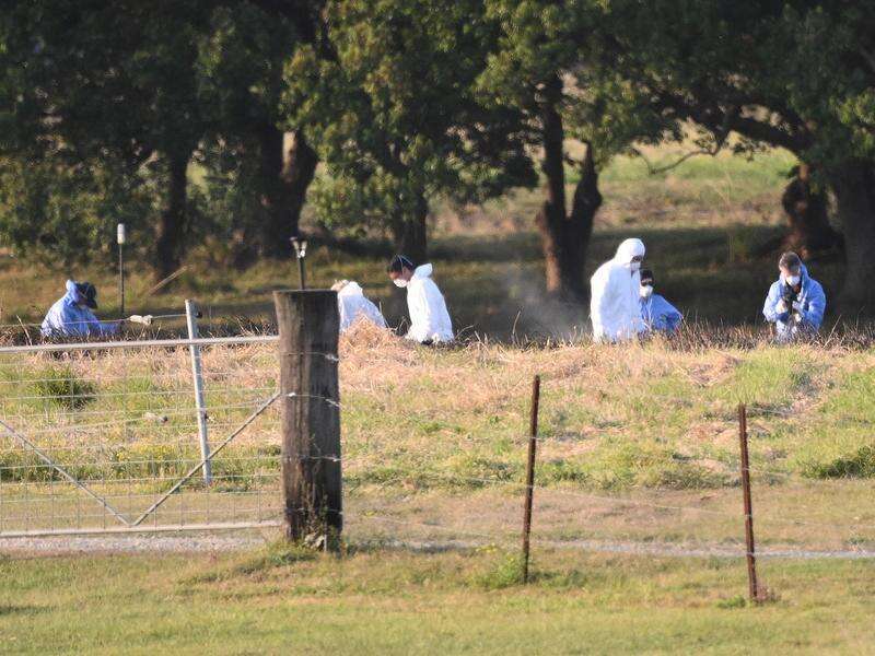Man and woman dead after plane crashes, sparks fire