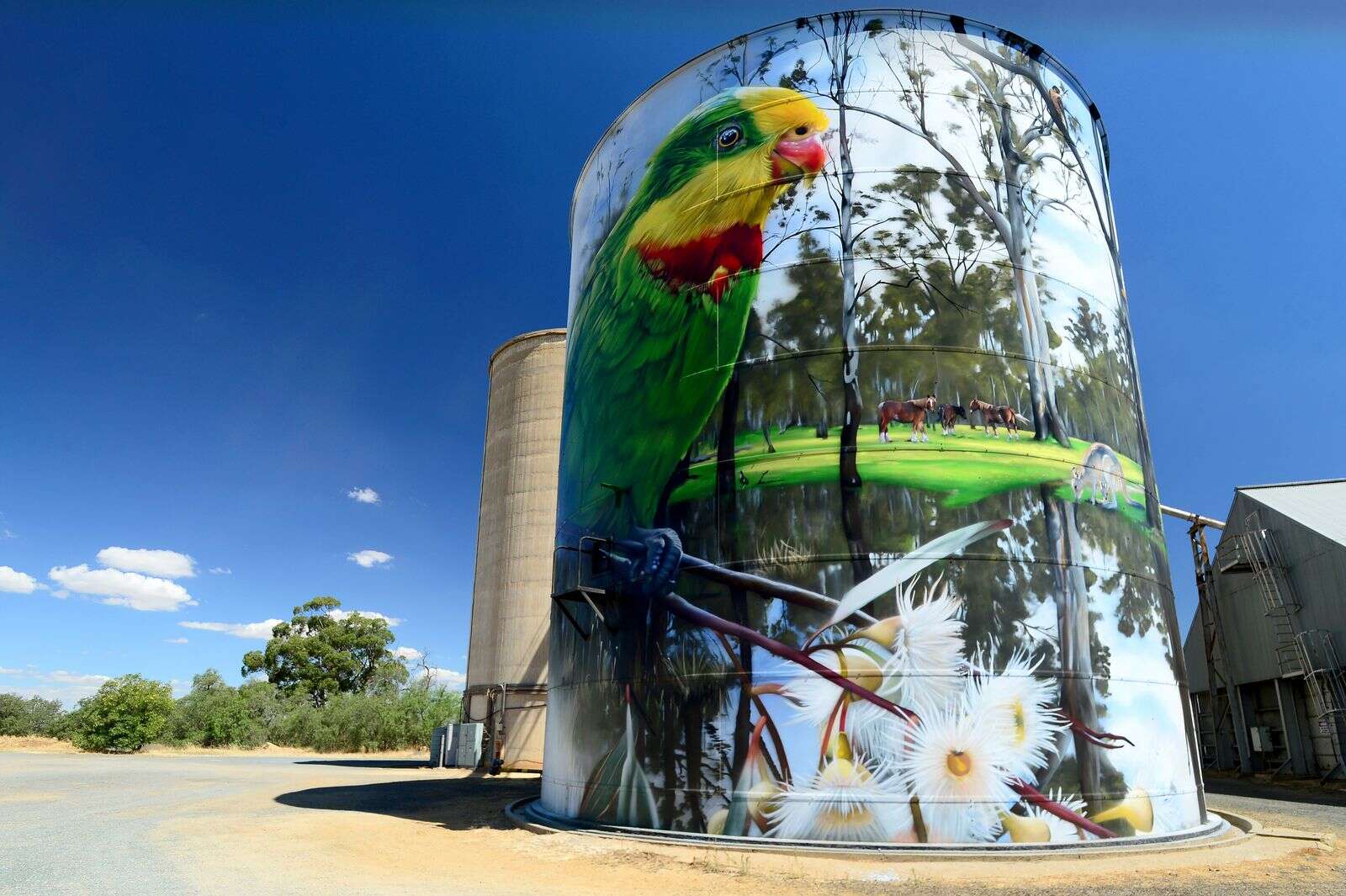 Hit the road with a new silo art trail brochure