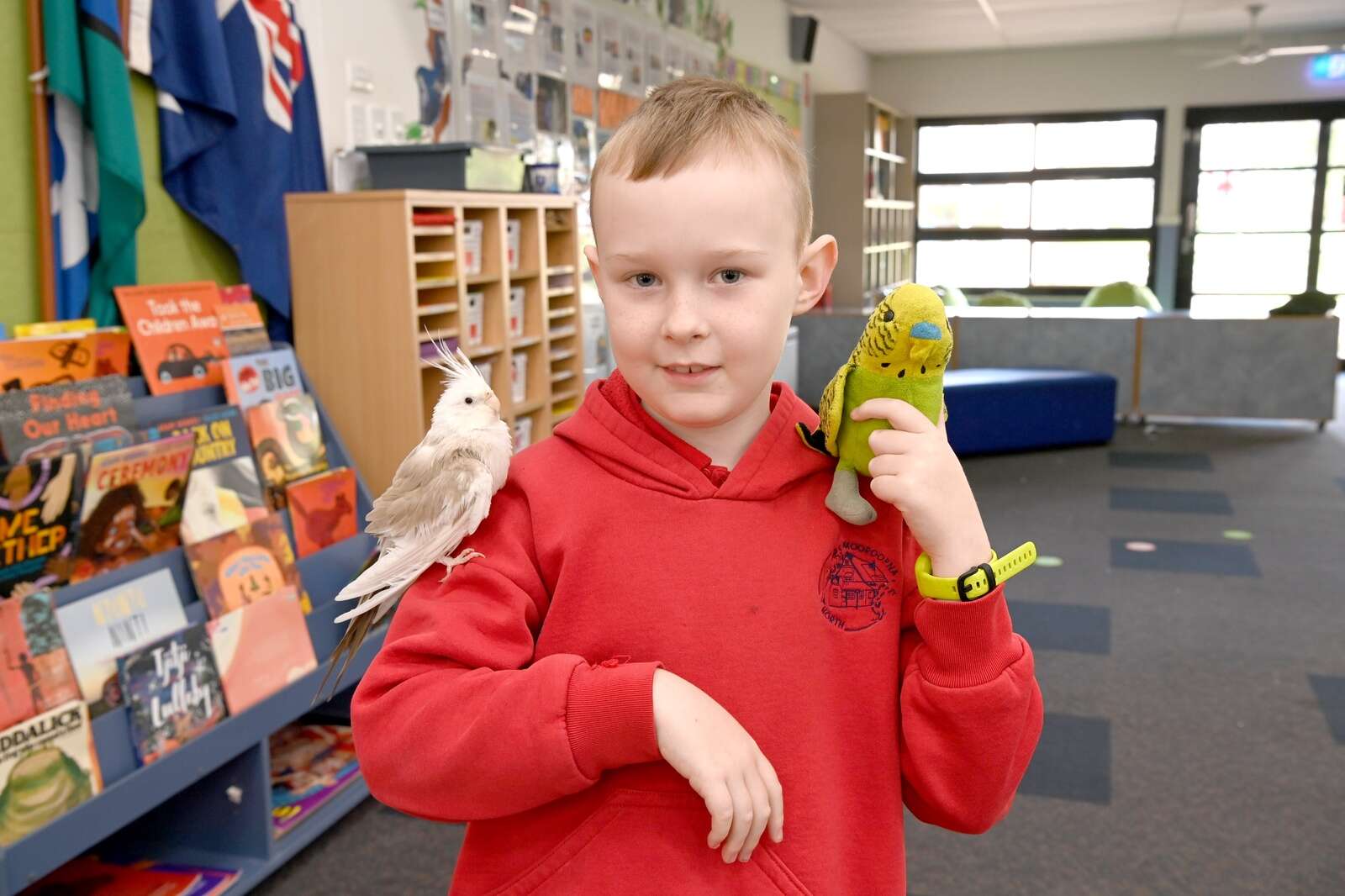 The marvellous menagerie of mooroopna north primary school abc today news