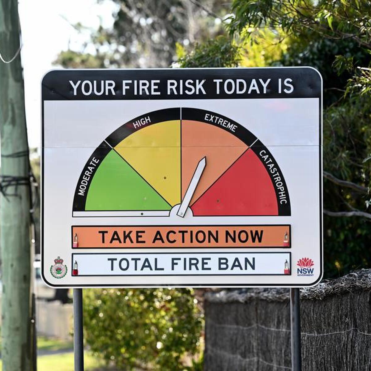 Alleged grave body snatcher skips court Dairy News Australia Alleged grave body snatcher skips court Dairy News Australia