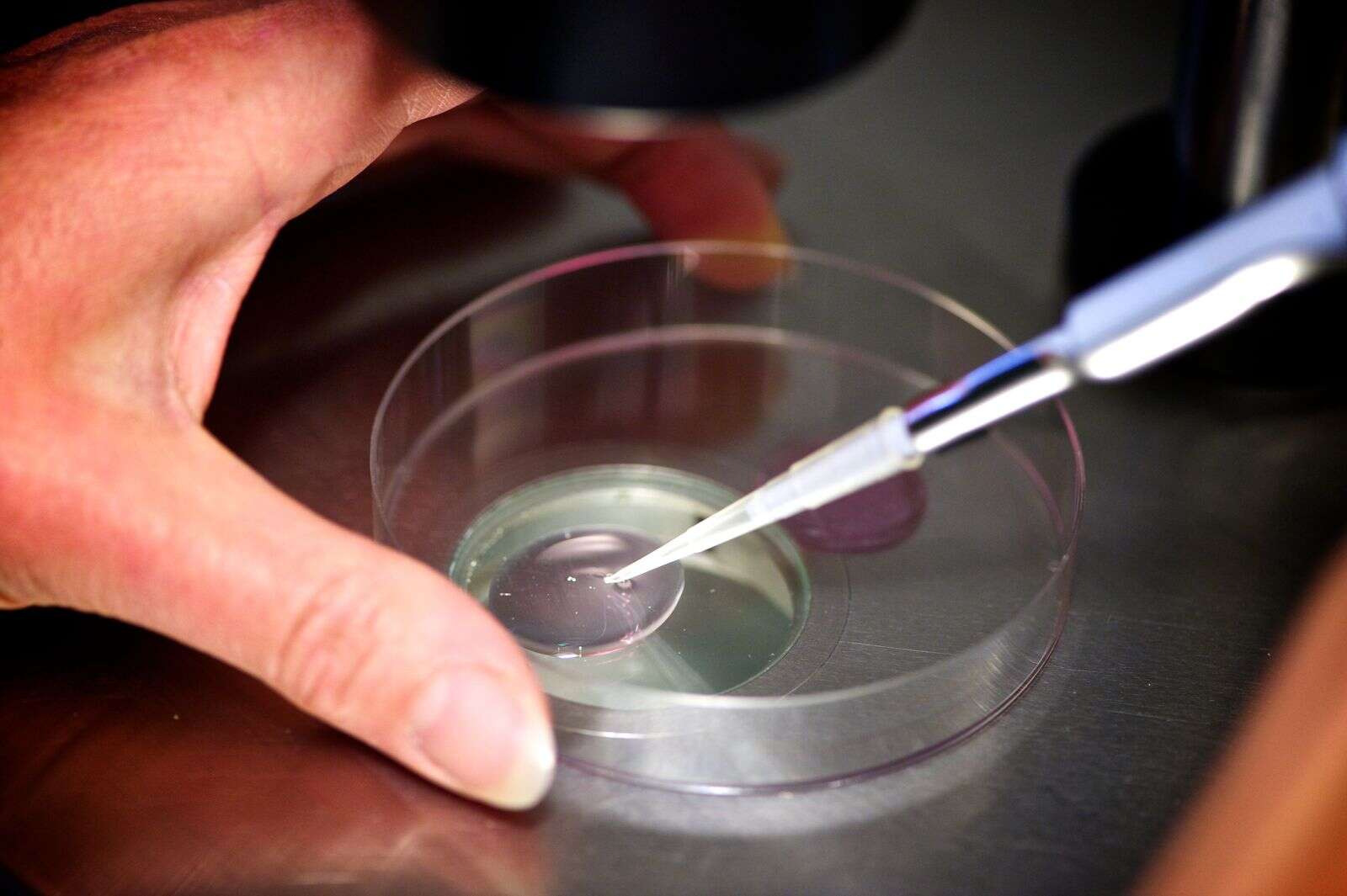 rebate-for-ivf-services-campaspe-news