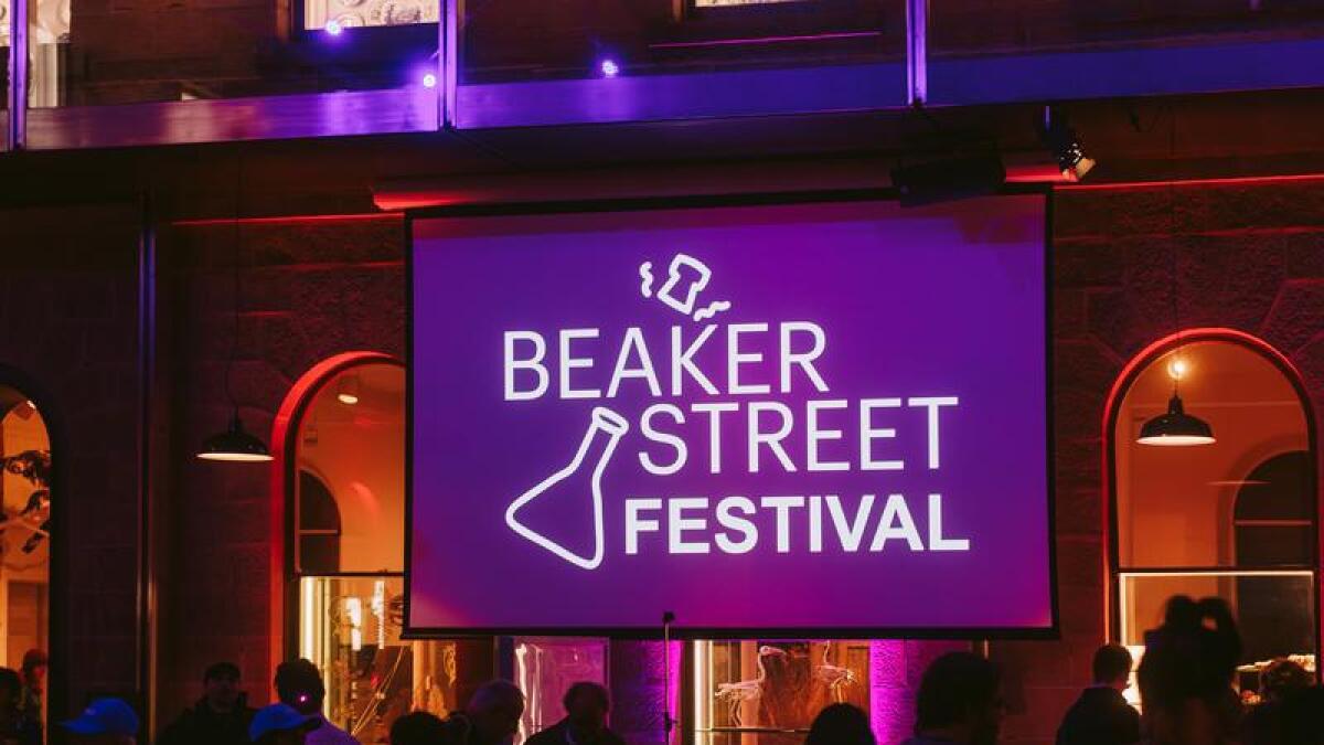 Beaker St Festival 