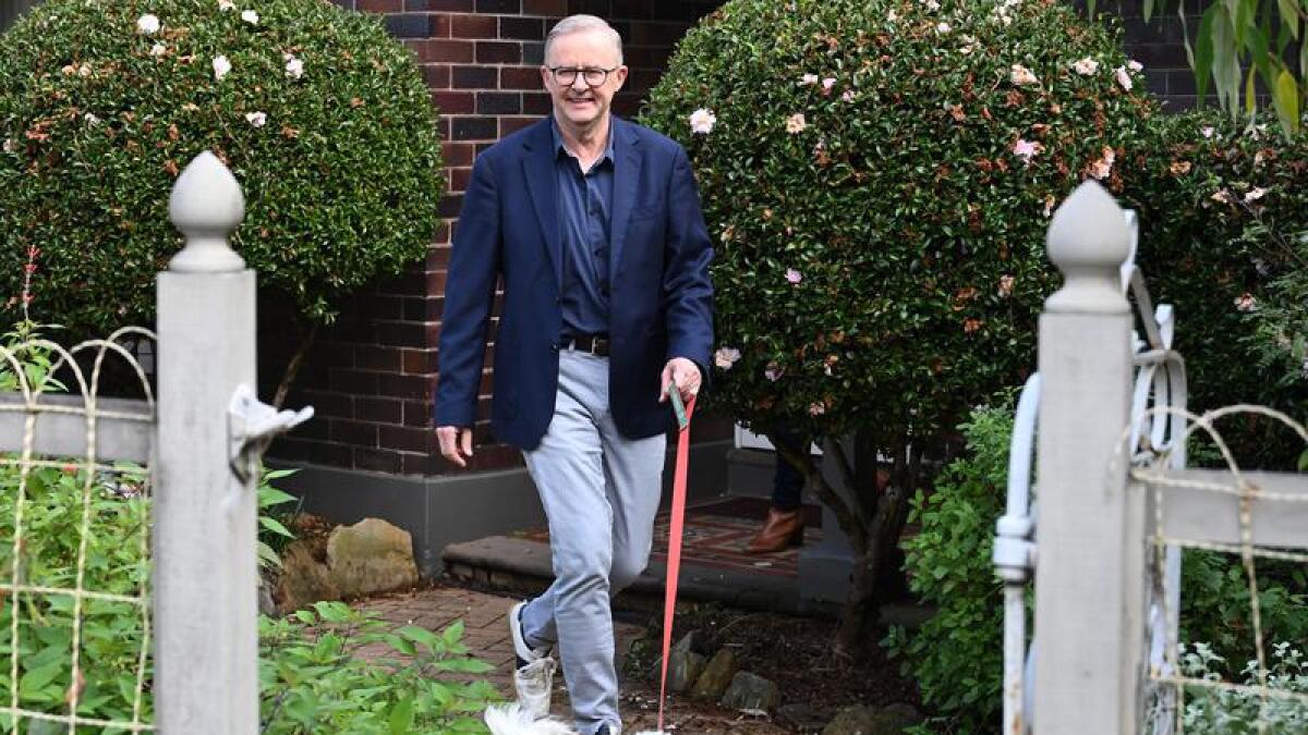 Prime Minister-elect Anthony Albanese leaves his house with Toto.