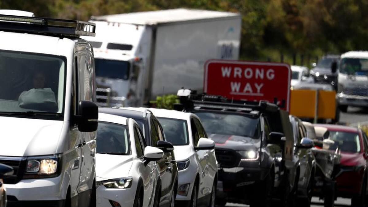 Traffic congestion on the Pacific motorway  (file image)