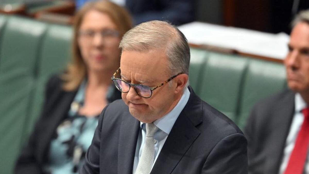 PM Anthony Albanese during a condolence motion for the victims.