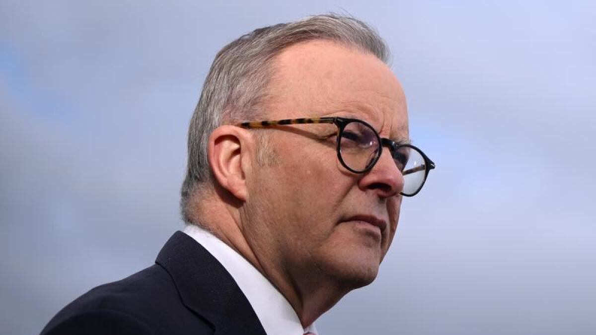 Prime Minister Anthony Albanese (file image)