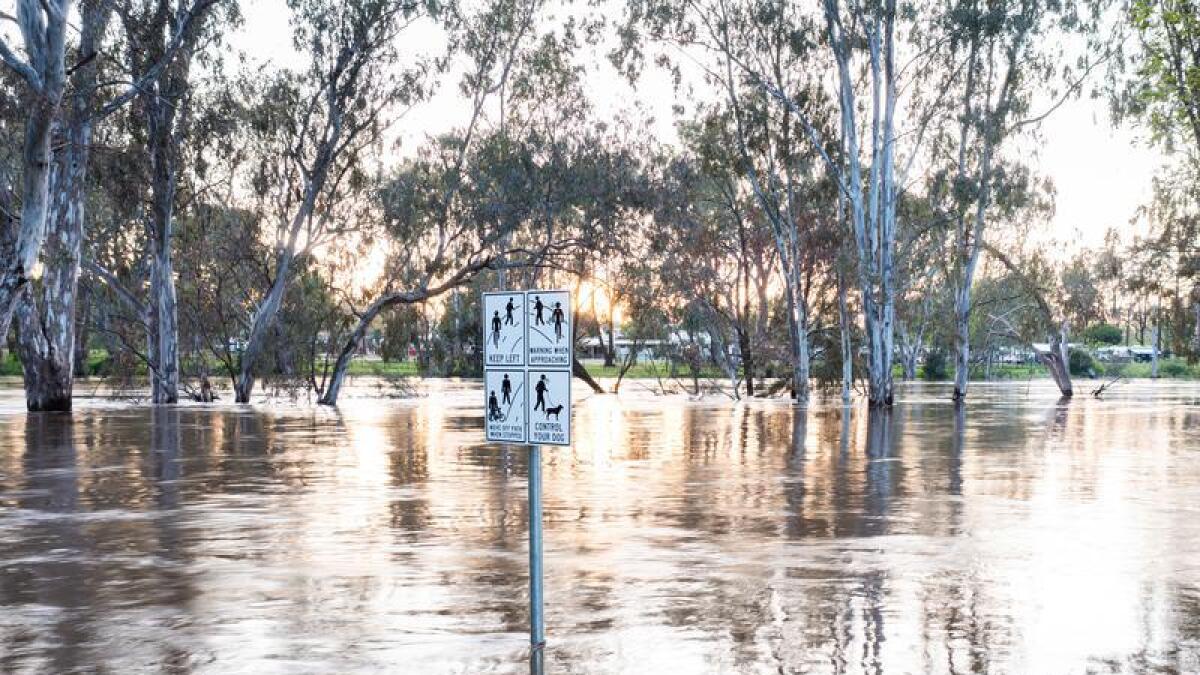 A flooded park in Cowra