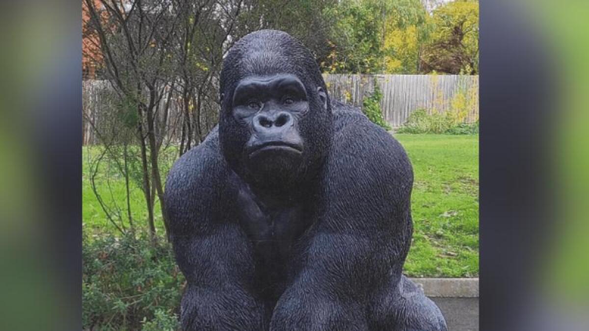 A gorilla statue stolen from a retirement community