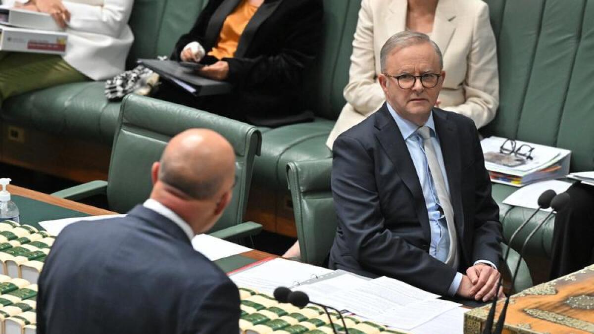 Anthony Albanese and Peter Dutton in Question Time