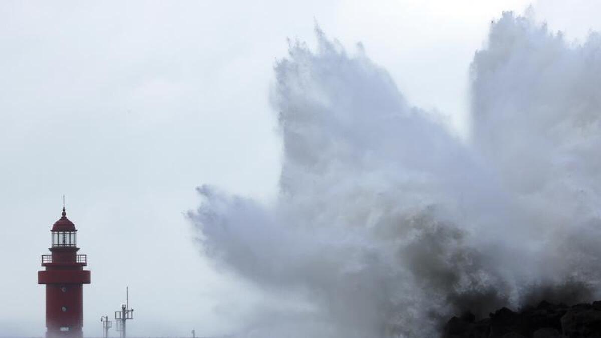A wave on the Japanese coastline