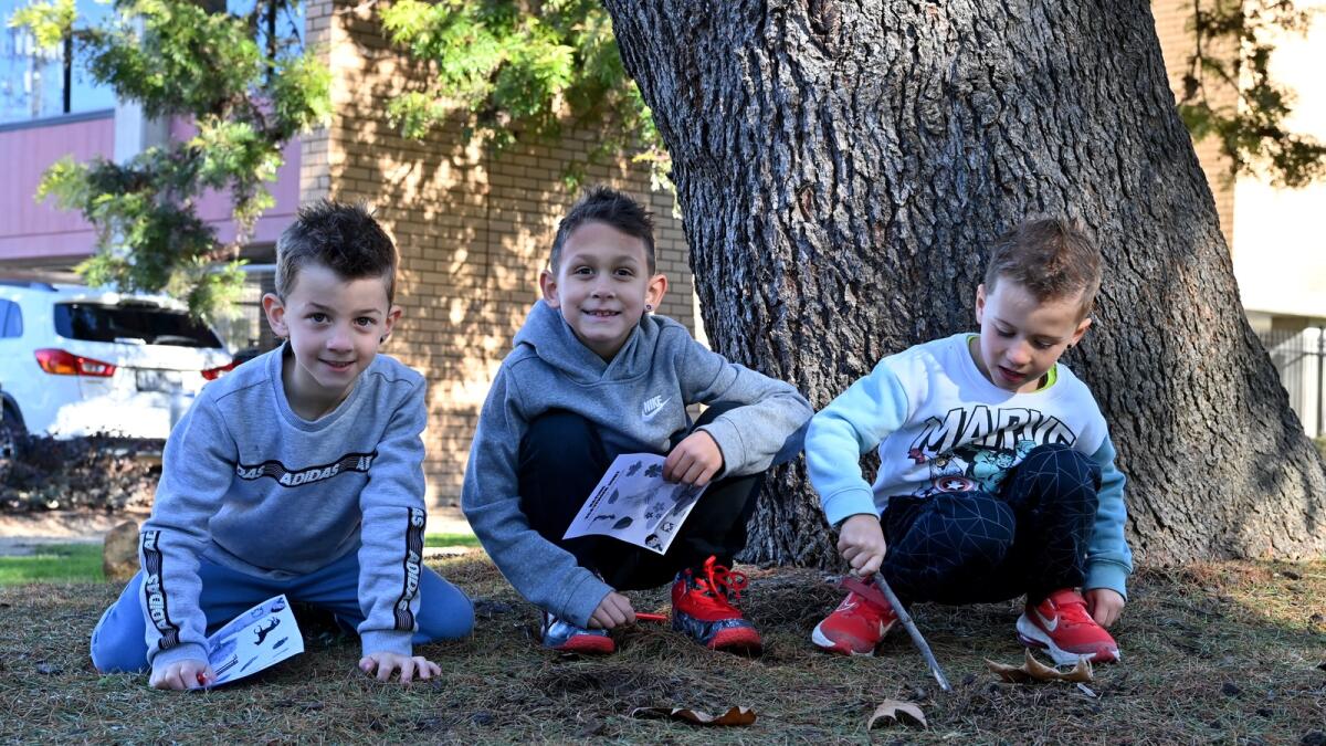 Nature Scavenger Hunt at the Queen's Gardens Shepparton.