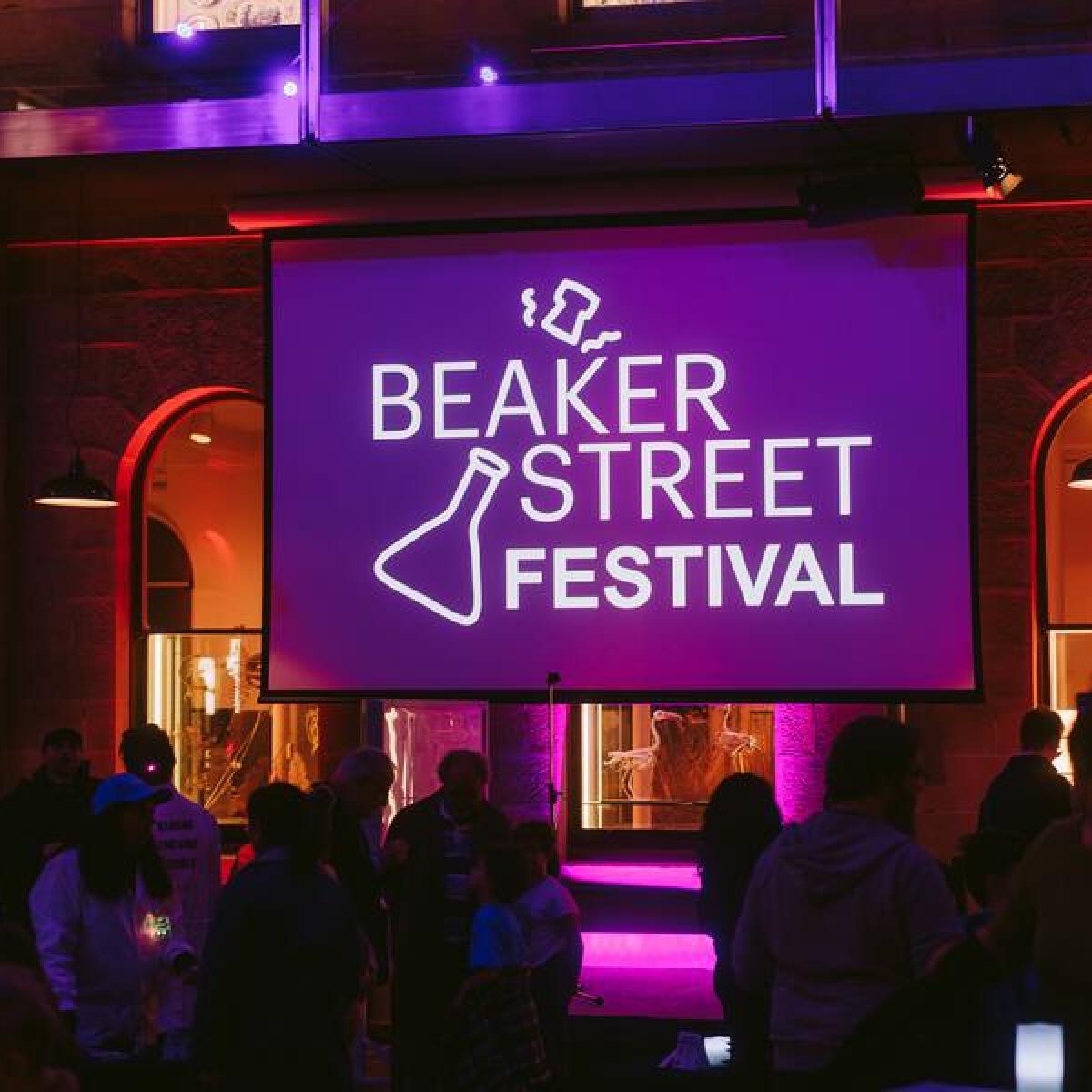 Beaker St Festival 