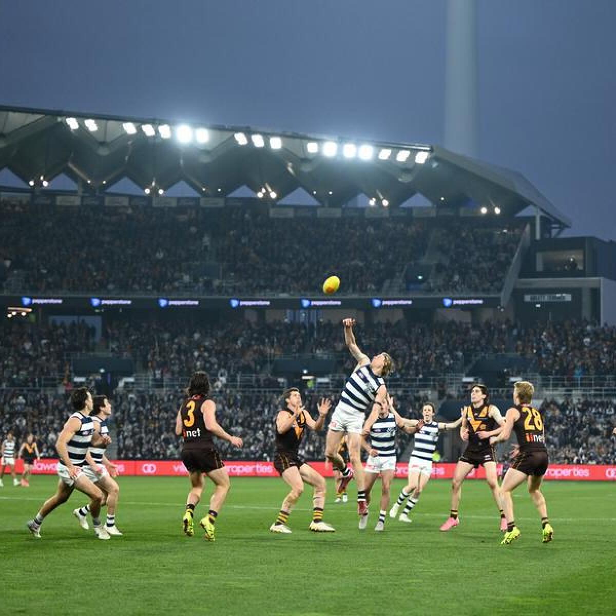 Action from Geelong against Hawthorn.