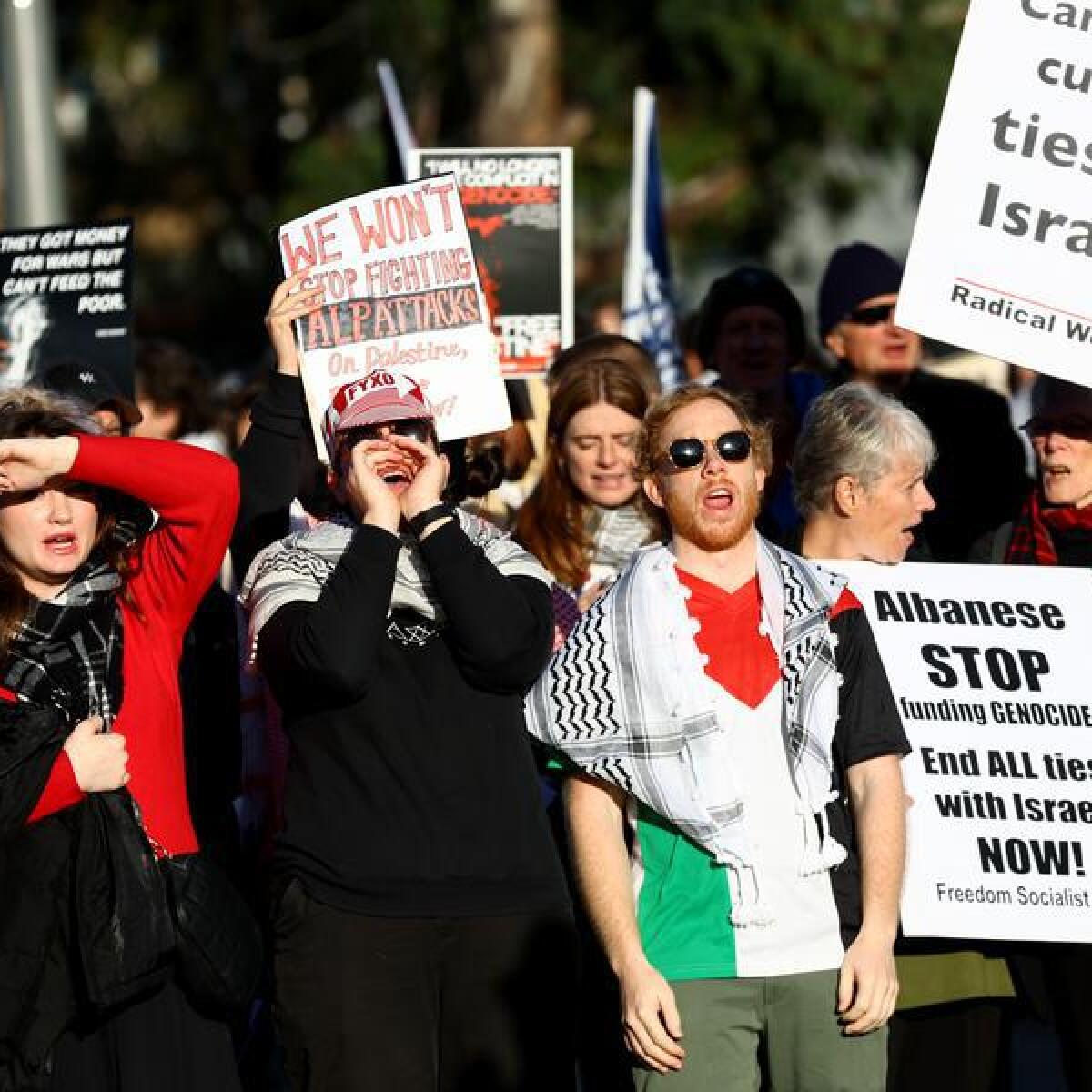 Activists at the Pro-Palestine rally