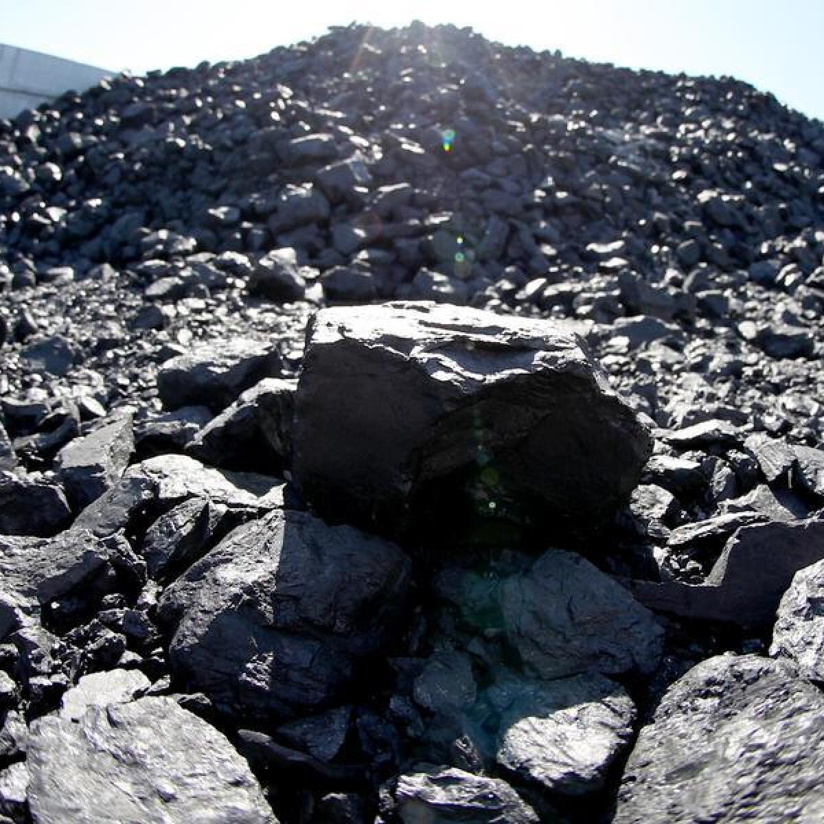 A pile of coal (stock)