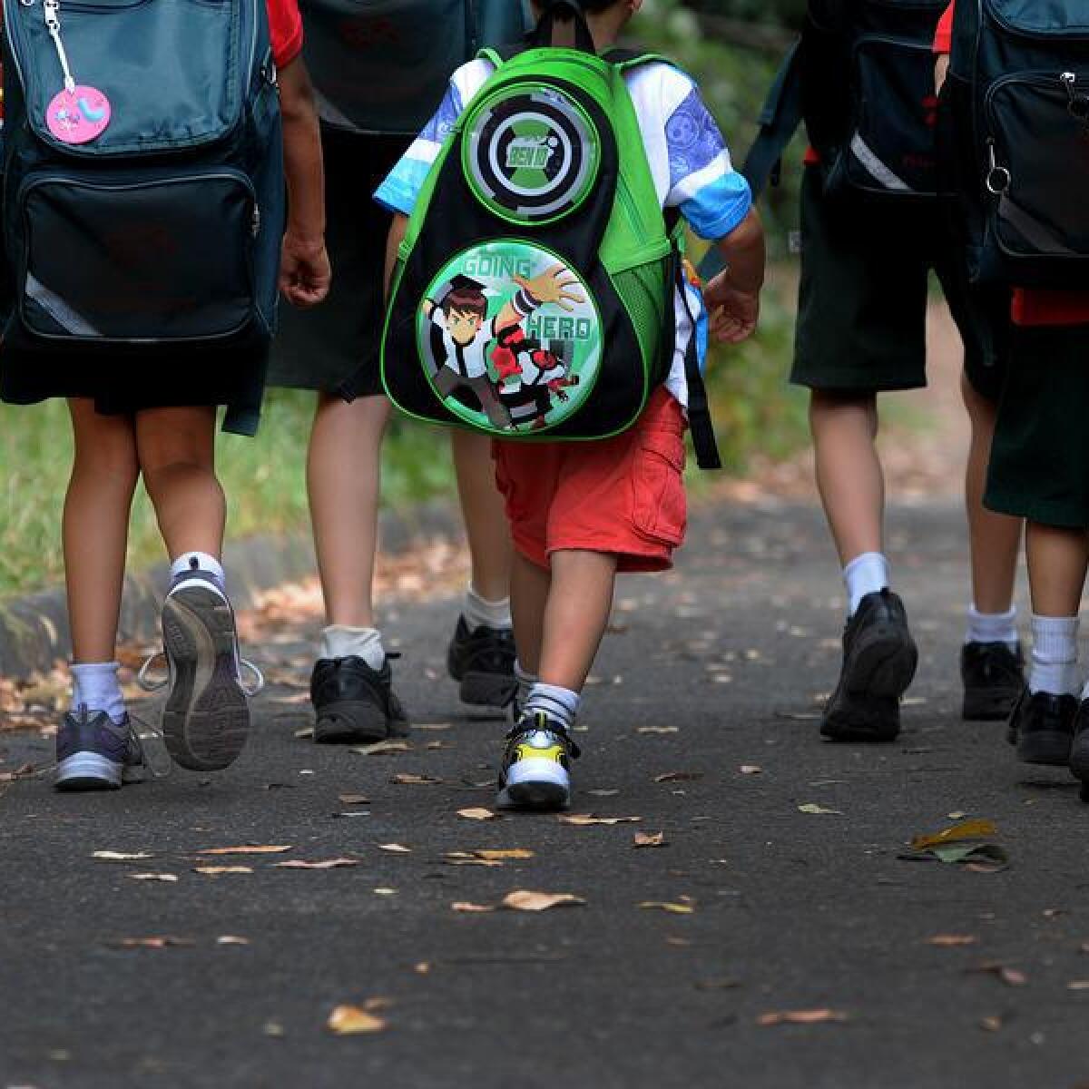 A generic image of unidentified children walking.