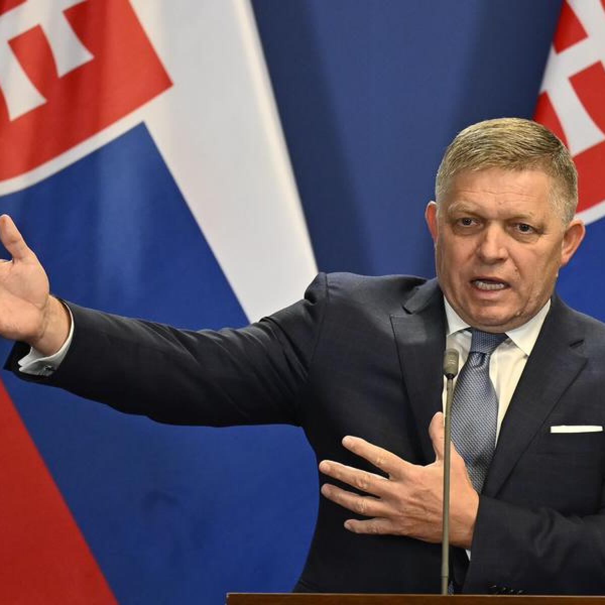 Slovakia's Prime Minister Robert Fico