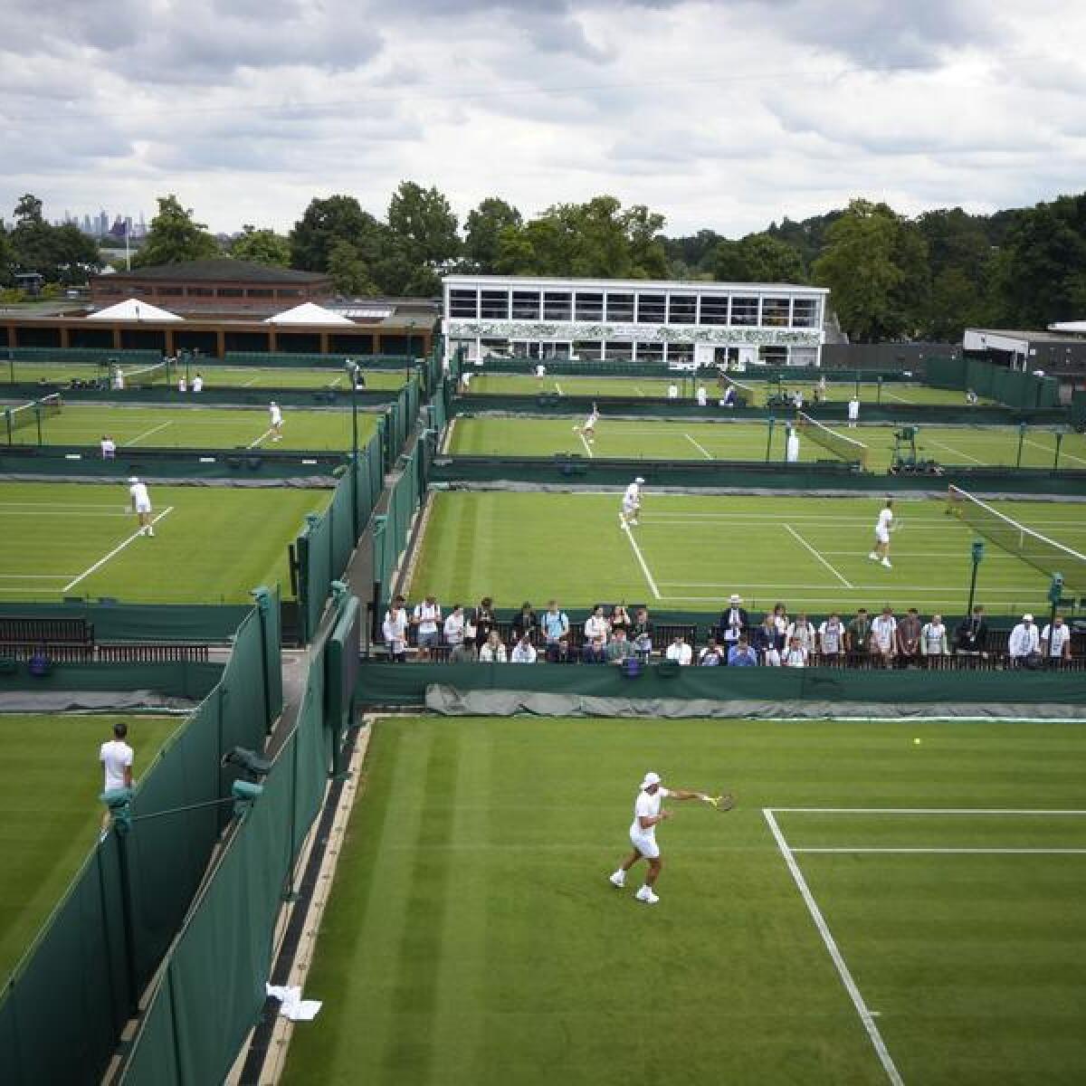 Wimbledon tennis