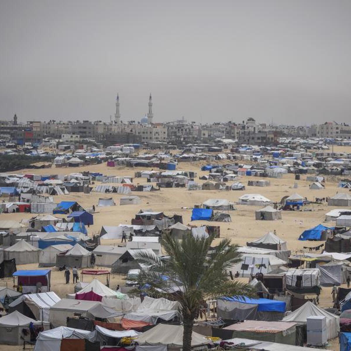 Camps in Rafah, Gaza