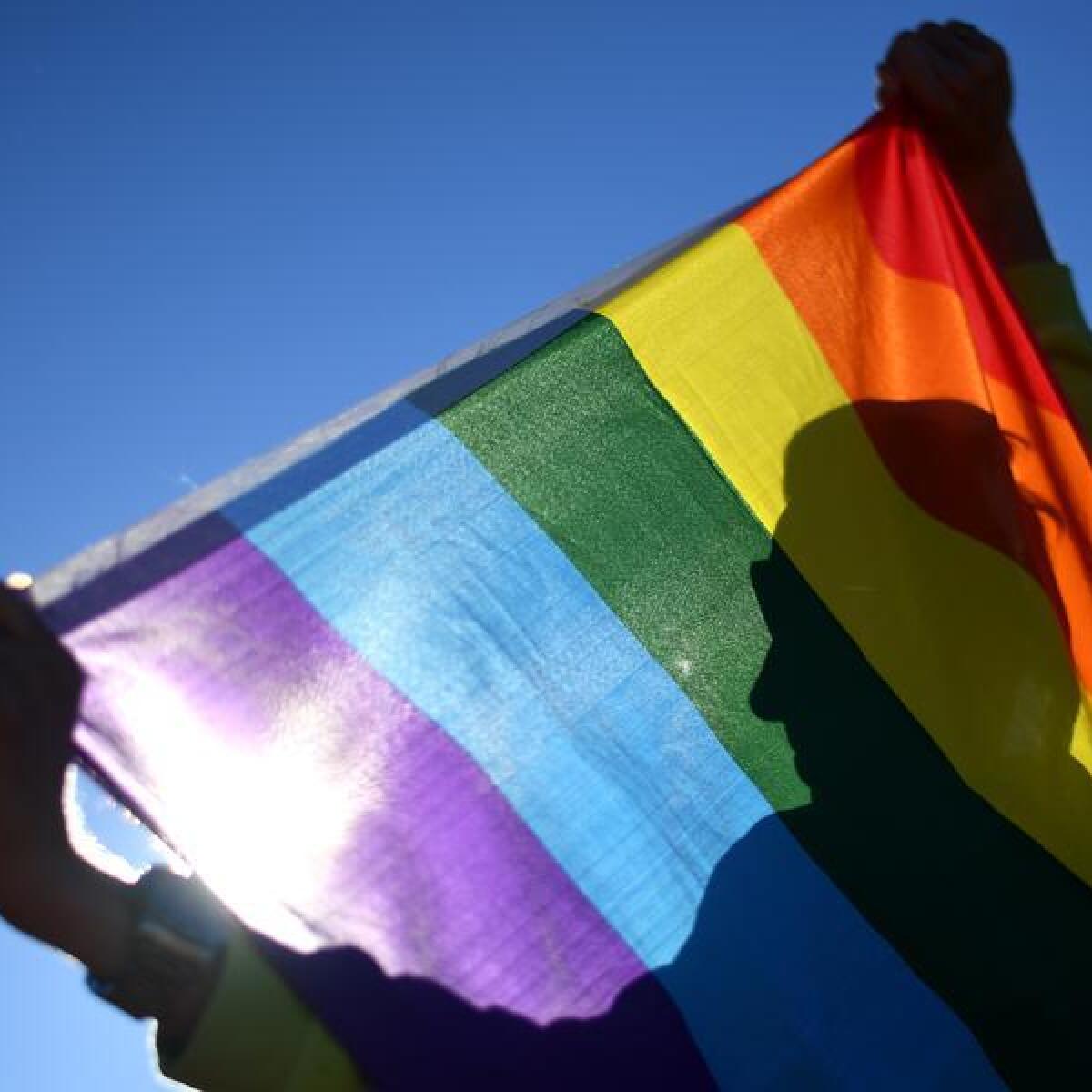 A man holding a pride flag