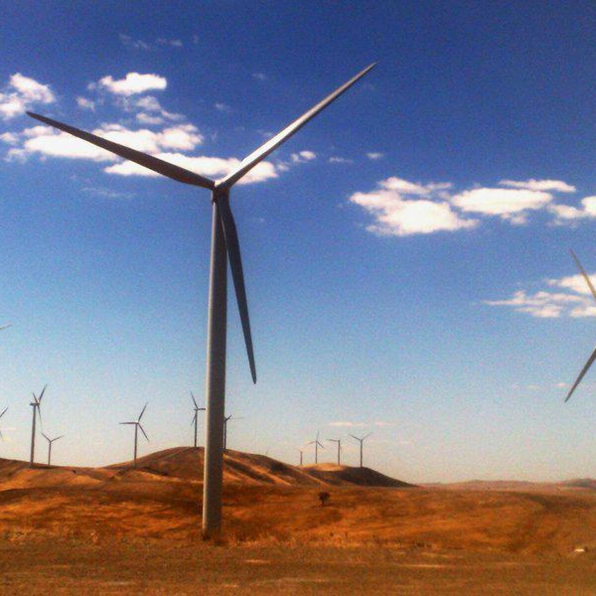 A windfarm is pictured near Burra, South Australia