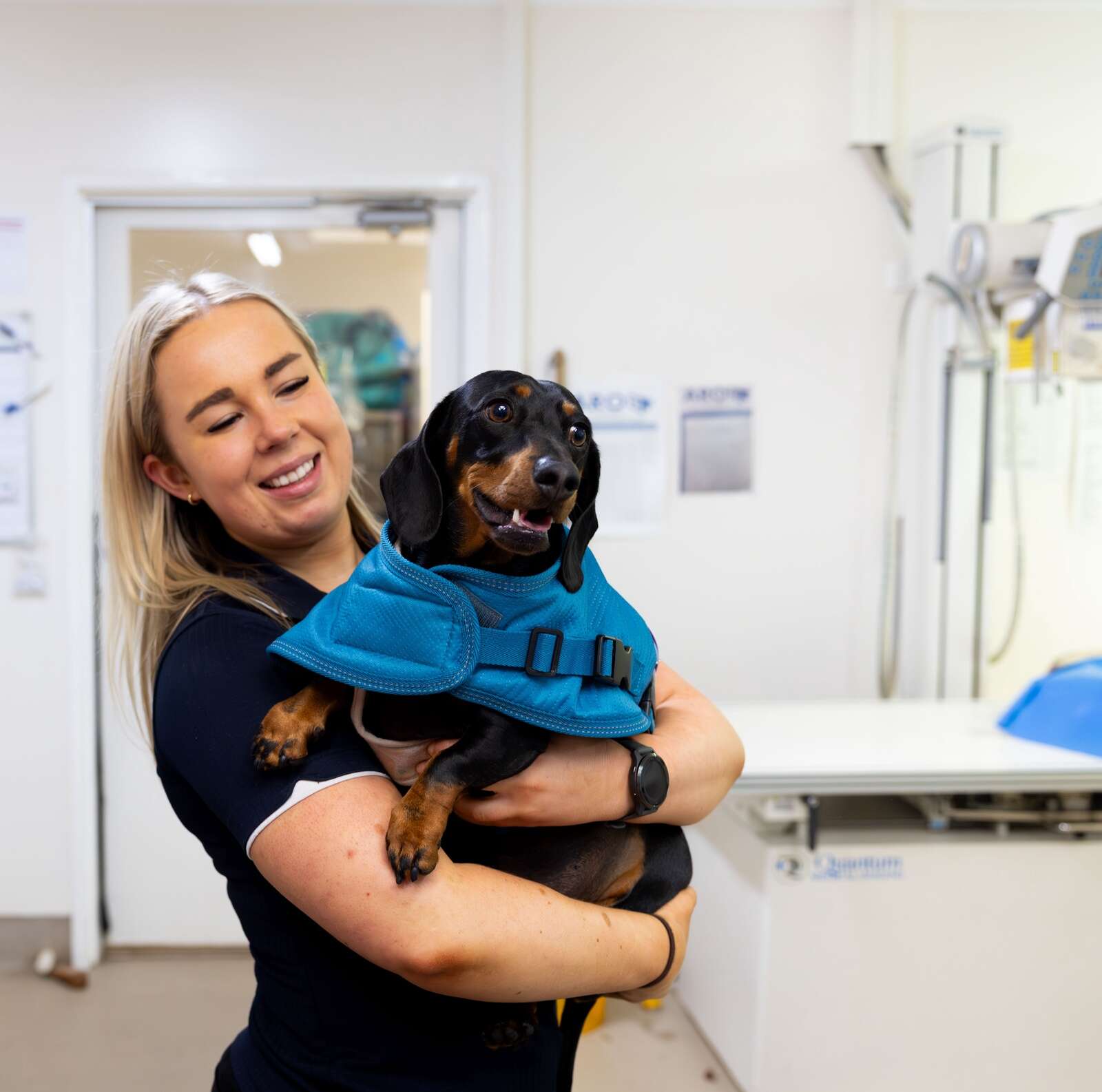 Keeping pets warm in winter