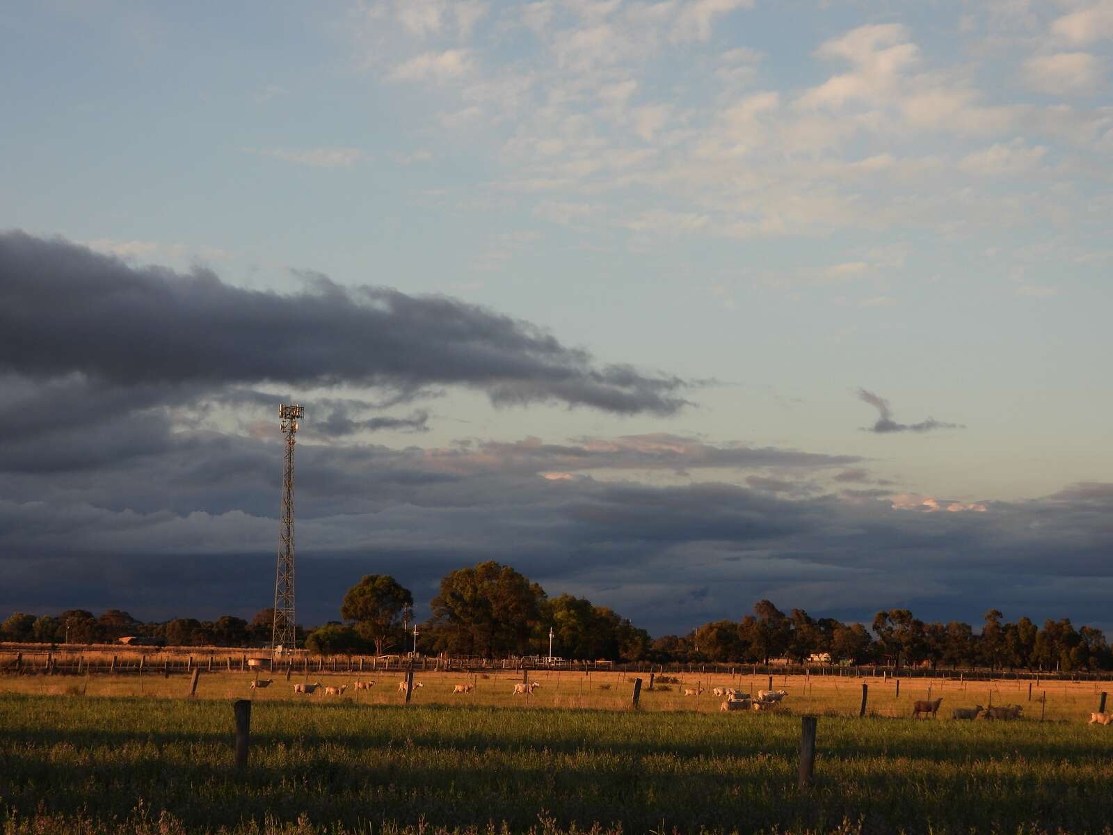 Farmers urged to brace for costly summer storms