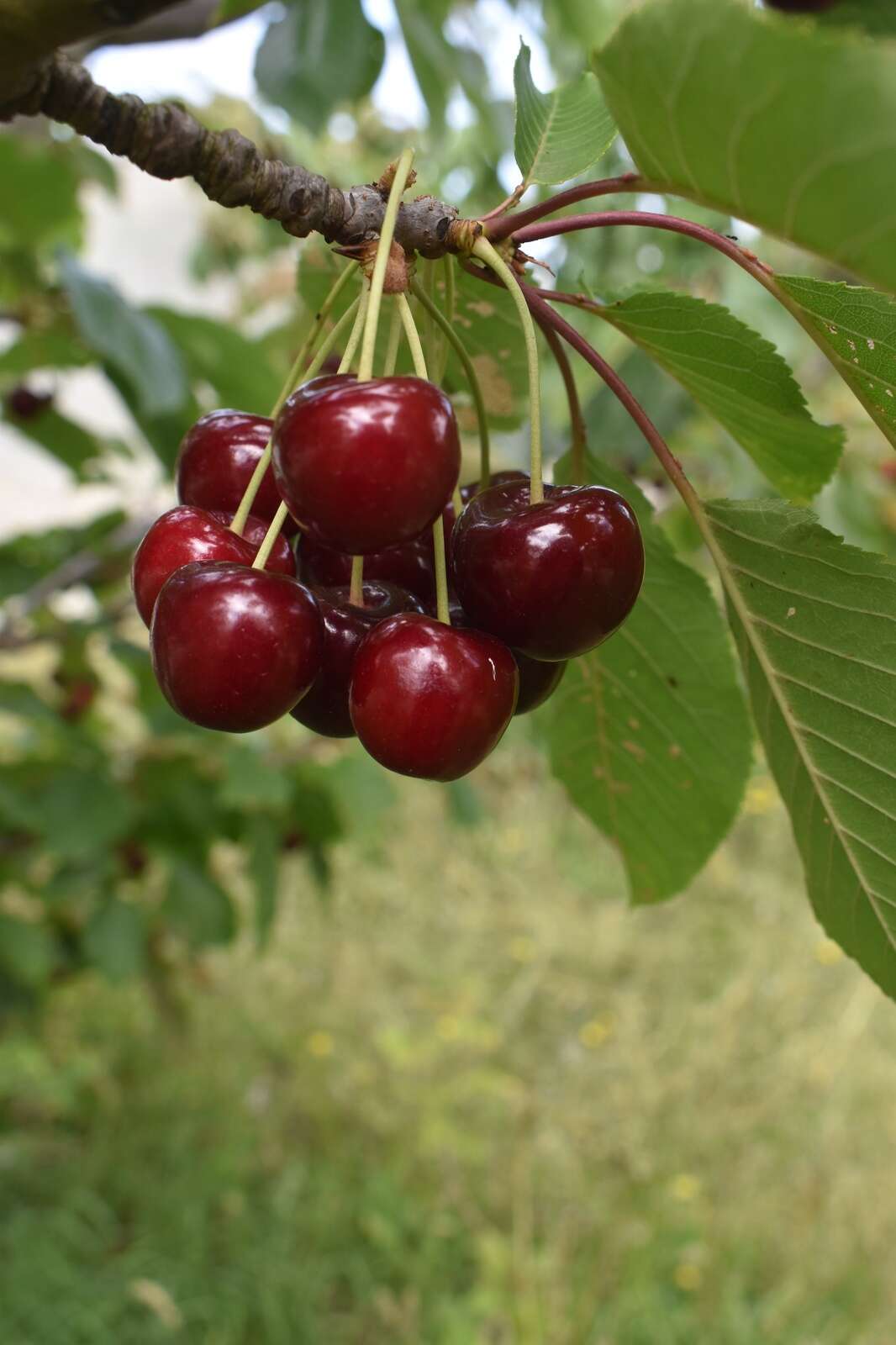 News in brief | October 13