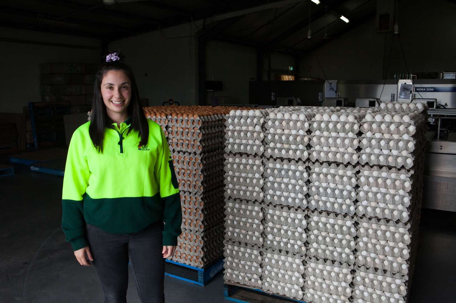 L’eliminazione dell’influenza aviaria riduce il numero di uova di 450.000 uova al giorno