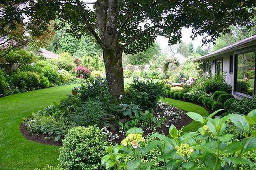 Growing for Success | The best lay of the lawn