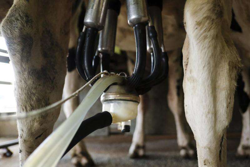 Help shape the future of dairy sustainability