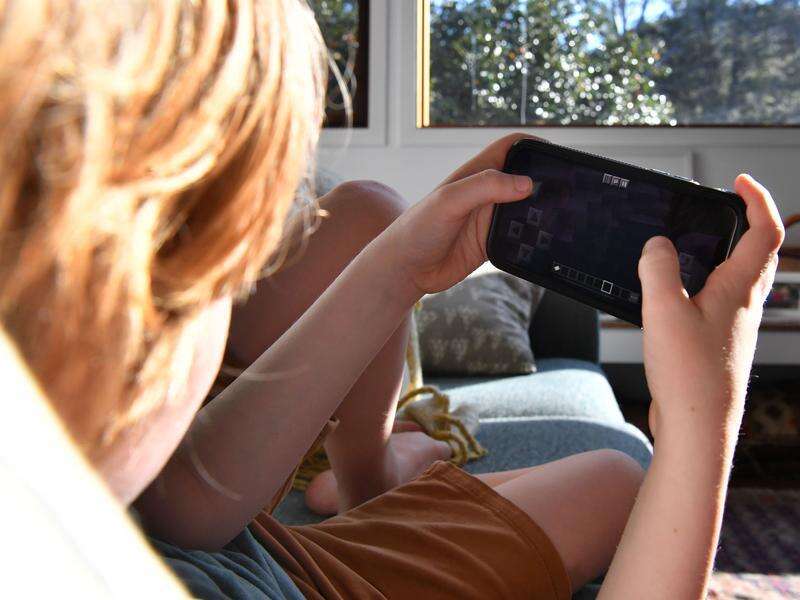 Court challenge delay clears path for social media ban