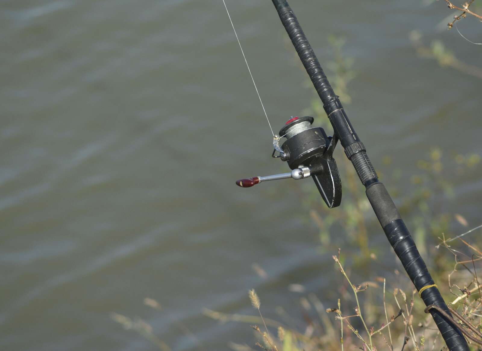 Reel in funds for fishing projects