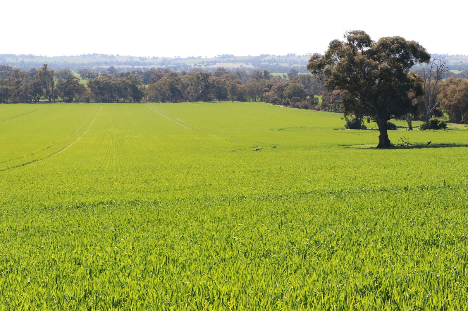 Renewable energy zone win