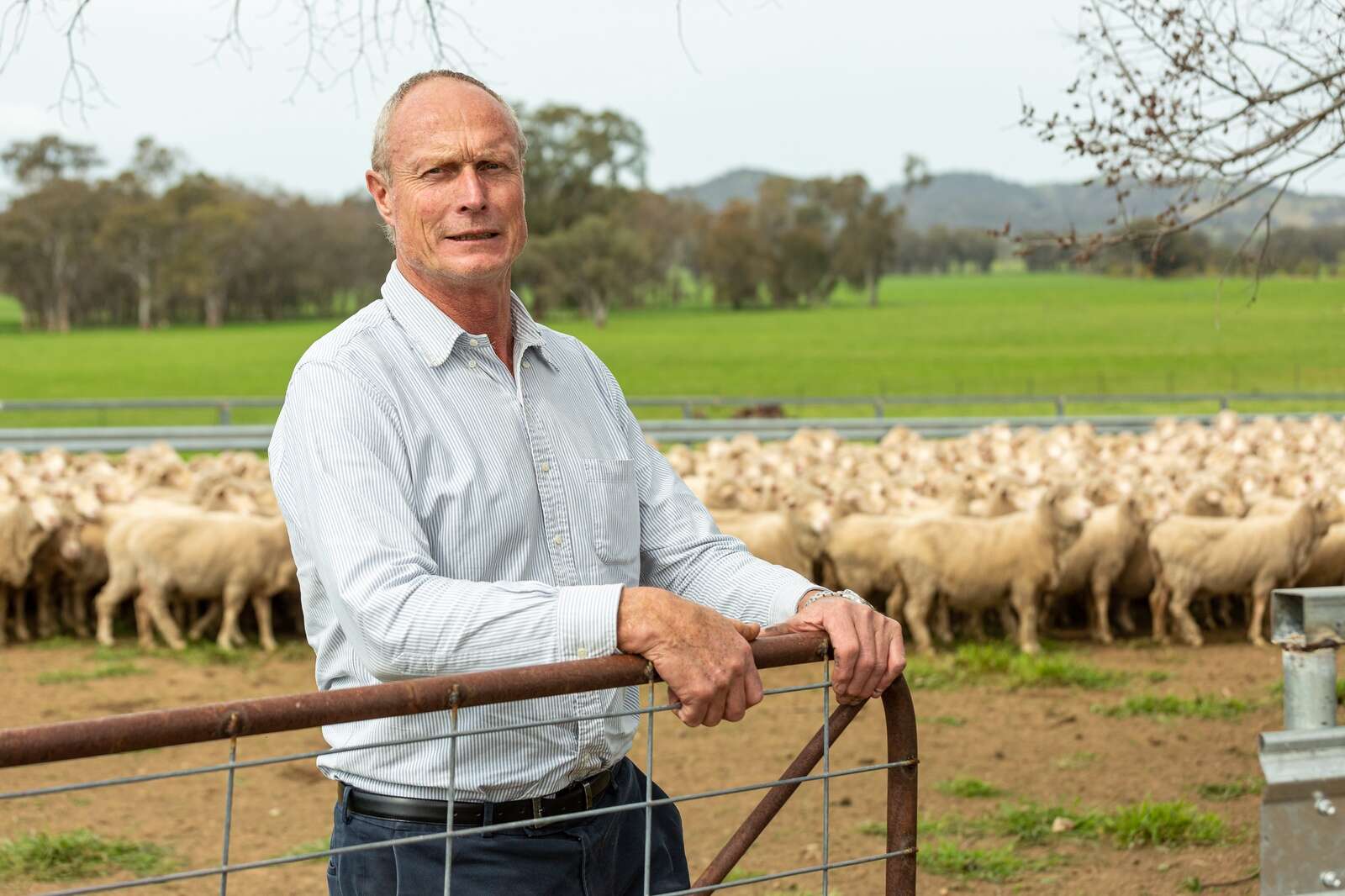 Farmers' silent struggle: the crisis in rural Australia