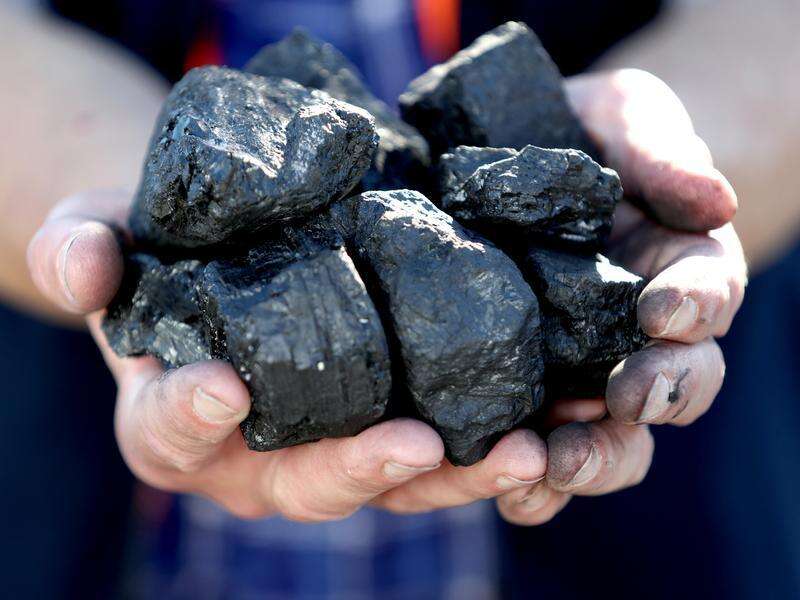 Fossil fuel industry labelled 'a criminal enterprise'