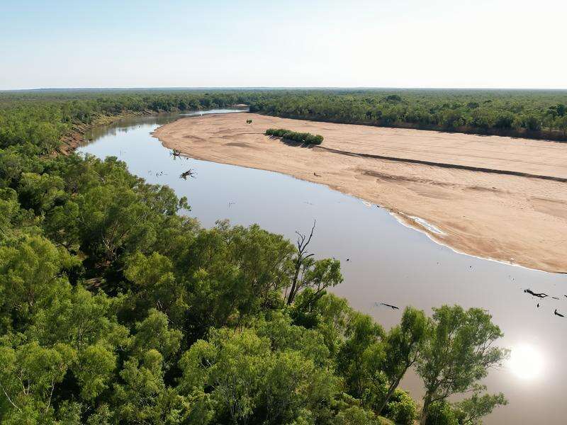 Environmental reforms won't push up power prices: Watt