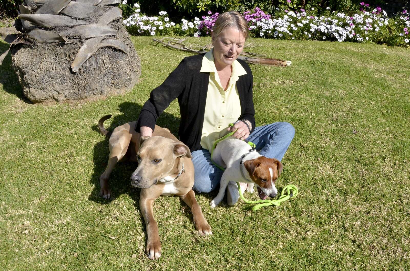 Pet Page — Helping an animal find its forever home