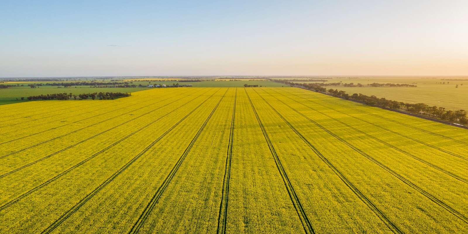 GRDC unveils roadmap to drive innovation in low carbon liquid fuels
