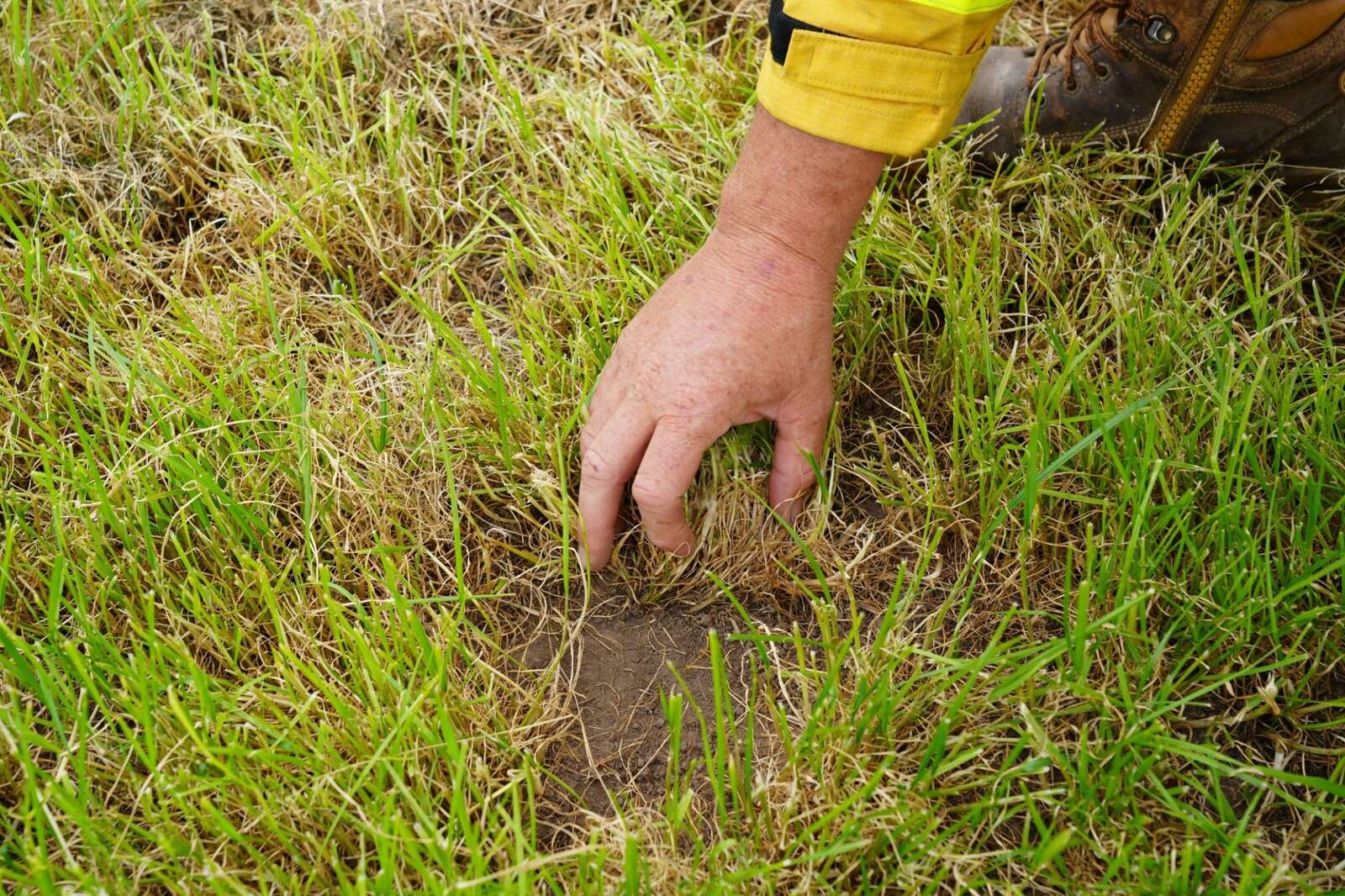 CFA calling for citizen scientists