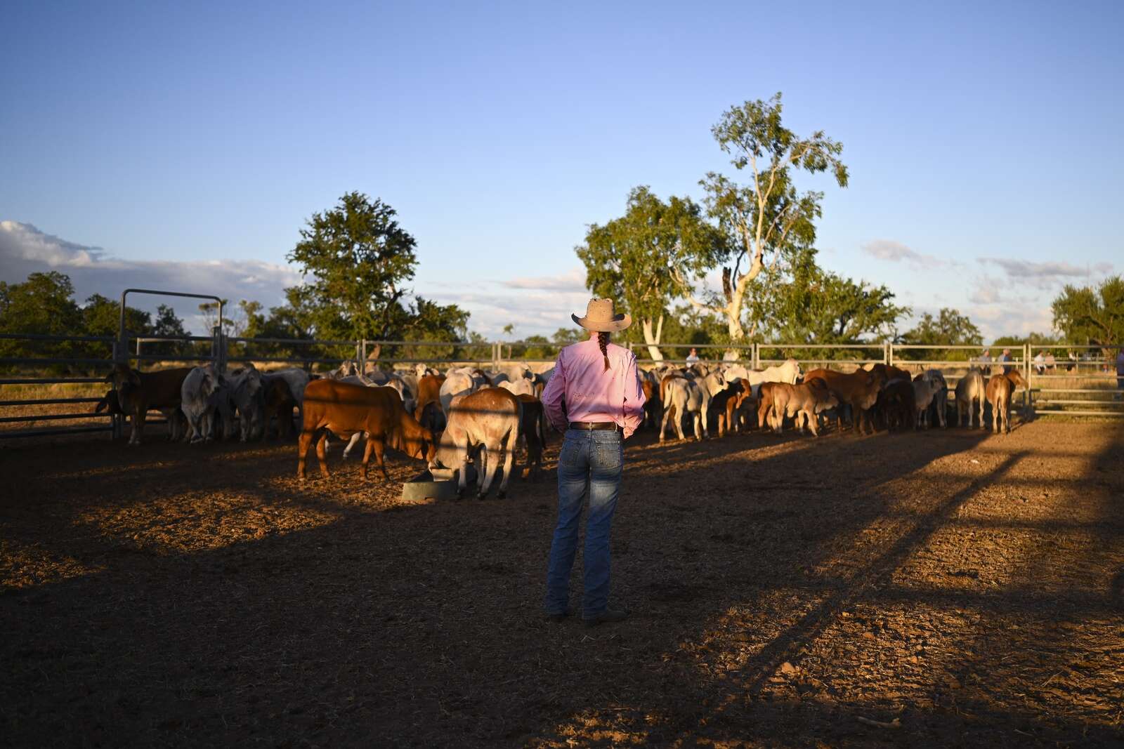 NSW Farmers Face Tough Conditions Amid Natural Disasters and Rising Costs